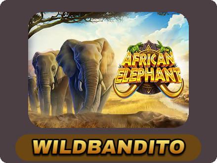 African Elephant